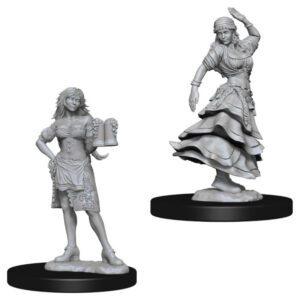 image of Pathfinder Deep Cuts Unpainted Miniatures: W04 Bartender/Dancing Girl