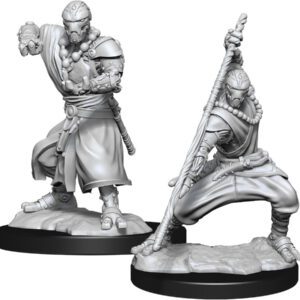 photo of Wizkids: Nolzur's W14 Warforged Monk