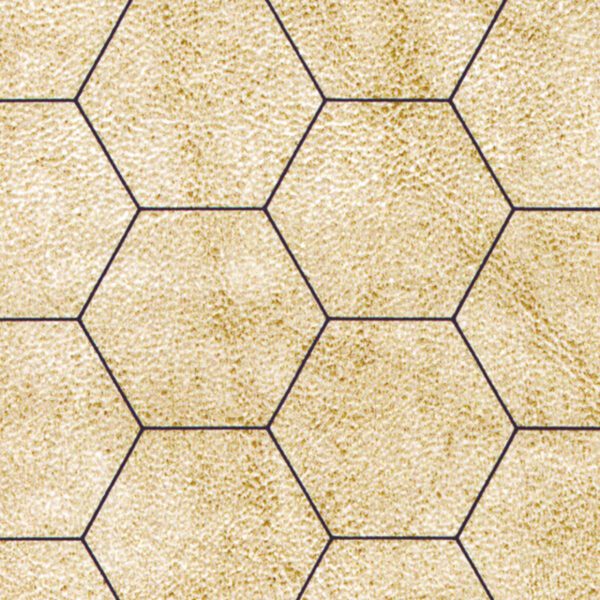 image of 1 inch hexes of Chessex Reversible Battlemat 1" Squares & 1" Hexes