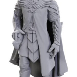 image of Critical Role Unpainted Miniatures: W23 Dorian Storm mini