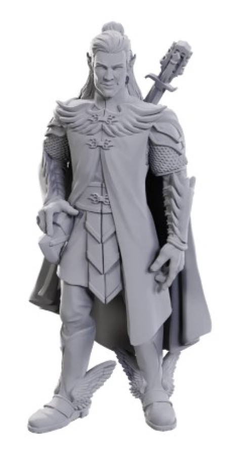 image of Critical Role Unpainted Miniatures: W23 Dorian Storm mini