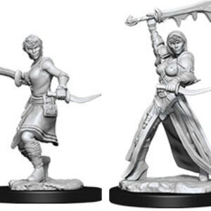 image of D&D Nolzur's Marvelous Unpainted Miniatures: W10 Female Human Rogue