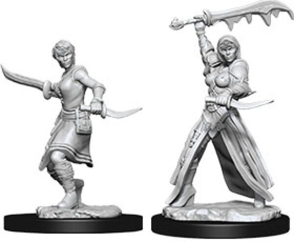 image of D&D Nolzur's Marvelous Unpainted Miniatures: W10 Female Human Rogue