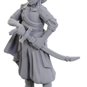 image of D&D Nolzur's Marvelous Unpainted Miniatures: W23 Ansalon Human Rogue