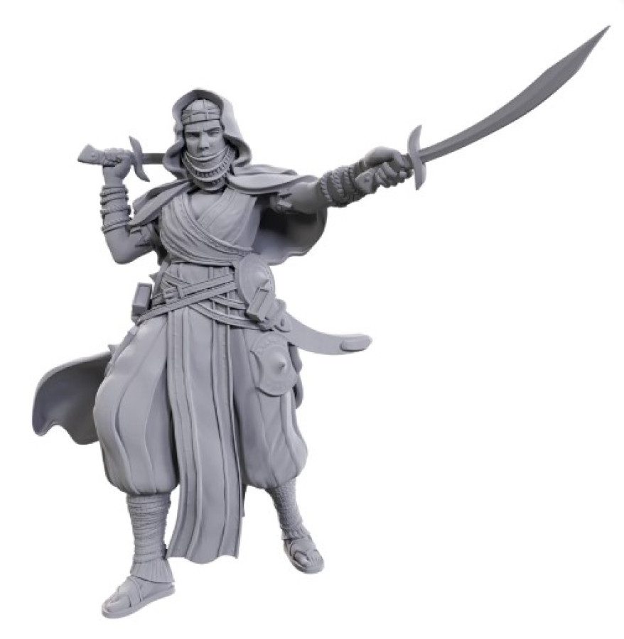 image of Pathfinder Battles Unpainted Miniatures: W23 Desert Giant