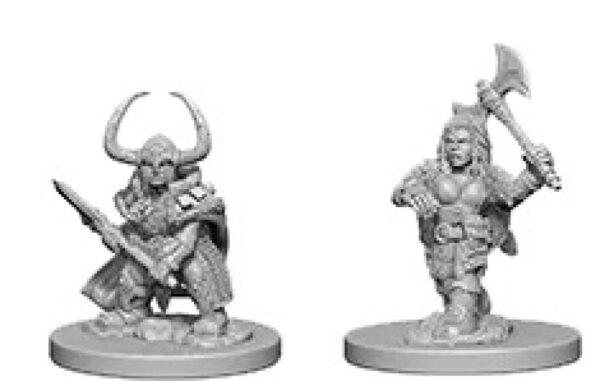 image of D&D Nolzur's Marvelous Unpainted Miniatures: W04 Dwarf Female Barbarian