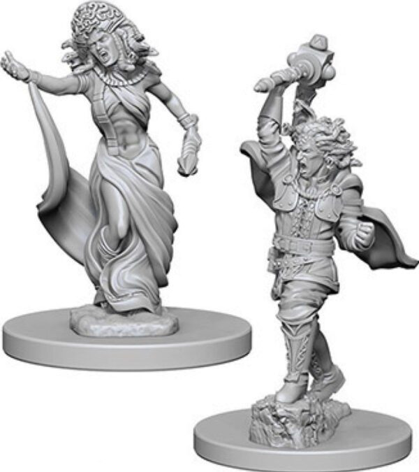 image of D&D Nolzur's Marvelous Unpainted Miniatures: W04 Medusas