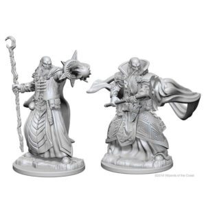 image of D&D Nolzur's Marvelous Unpainted Miniatures: W01 Human Male Wizard