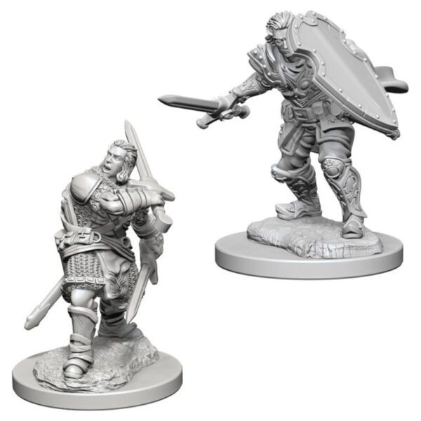 image of D&D Nolzur's Marvelous Unpainted Miniatures: W3 Human Male Paladin