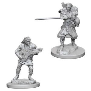 image of D&D Nolzur's Marvelous Unpainted Miniatures: W04 Human Male Bard