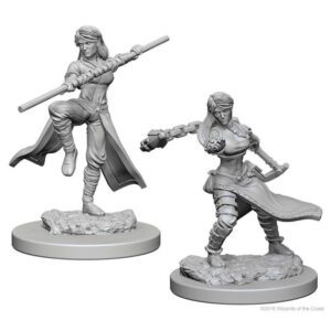 image of D&D Nolzur's Marvelous Unpainted Miniatures: W01 Human Female Monk