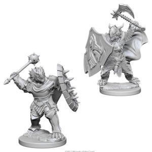 image of D&D Nolzur's Marvelous Unpainted Miniatures: W04 Dragonborn Male Paladin