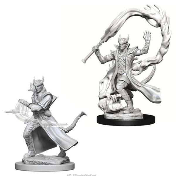 image of D&D Nolzur's Marvelous Unpainted Miniatures: W04 Tiefling Male Sorcerer