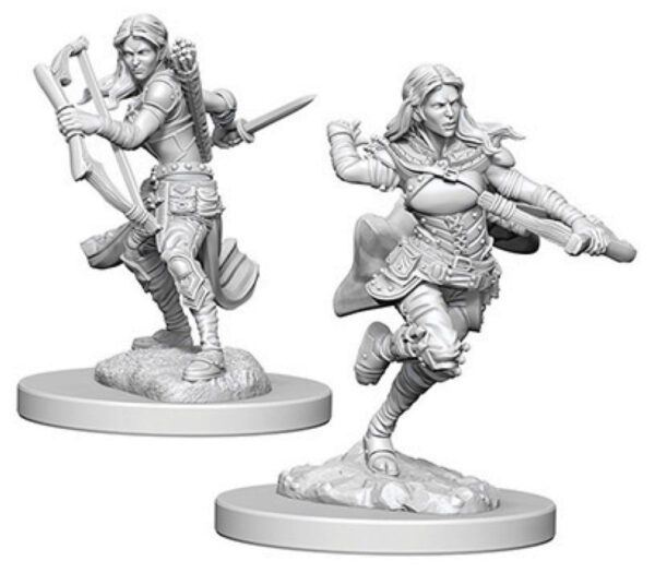 image of D&D Nolzur's Marvelous Unpainted Miniatures: W04 Air Genasi Female Rogue