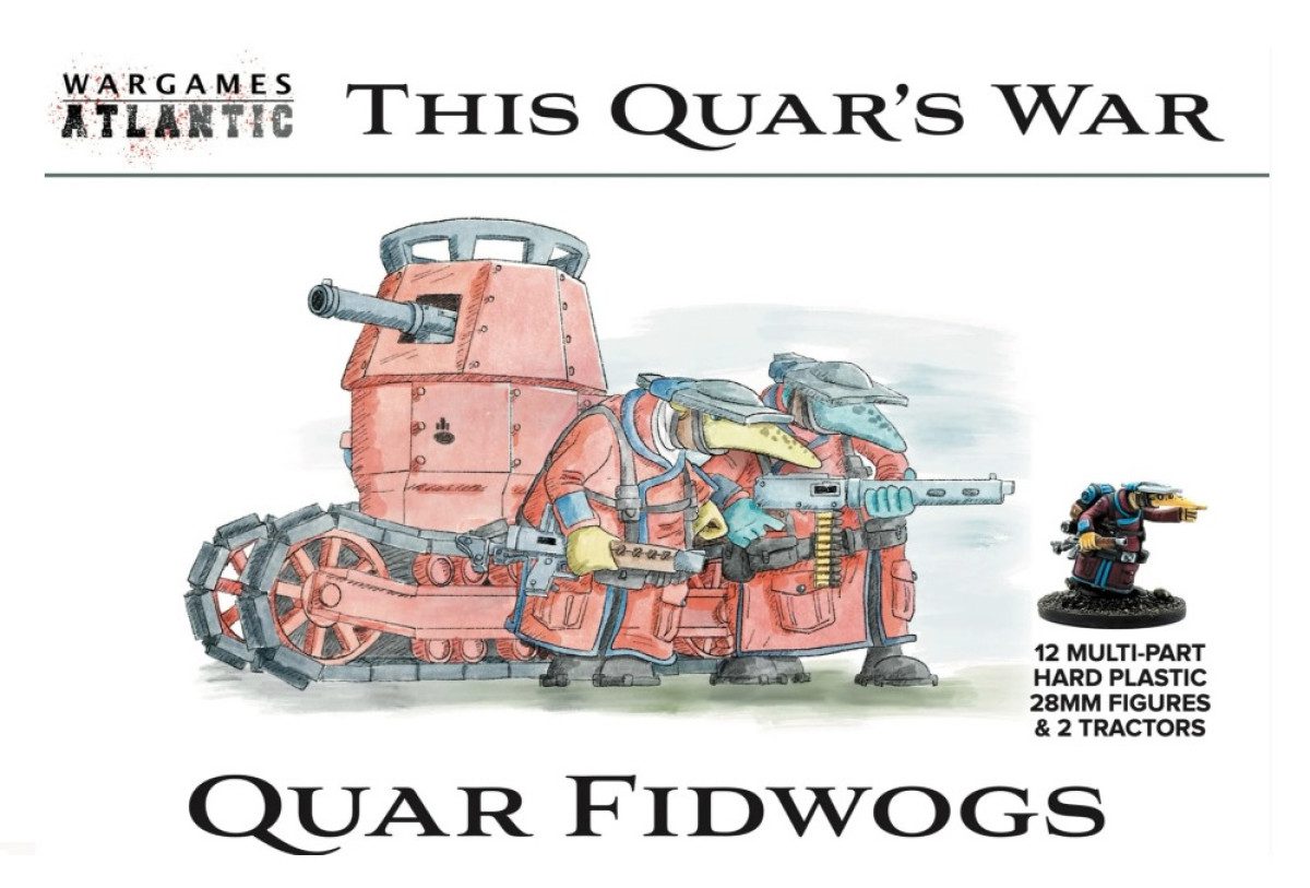photo of This Quar's War: Fidwog Infantry cover