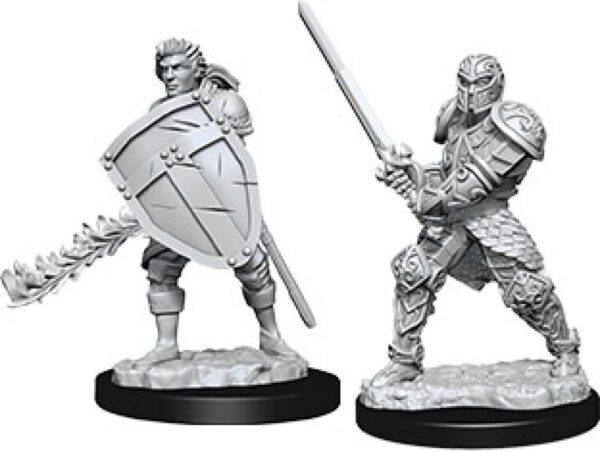 photo Dungeons & Dragons: Nolzur's Marvelous Unpainted Miniatures - W08 Male Human Fighter