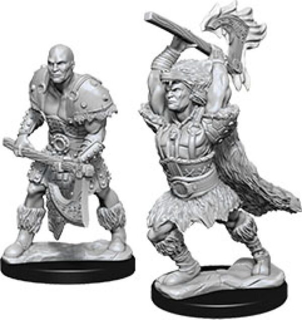 photo of W10 Male Goliath Barbarian