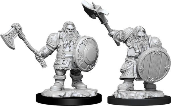 photo of W11 Male Dwarf Fighter