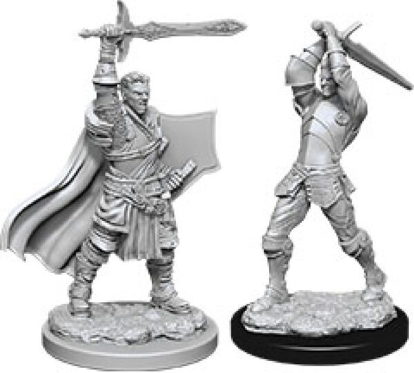 photo of Dungeons & Dragons: Nolzur's Marvelous Unpainted Miniatures - W12 Male Human Paladin