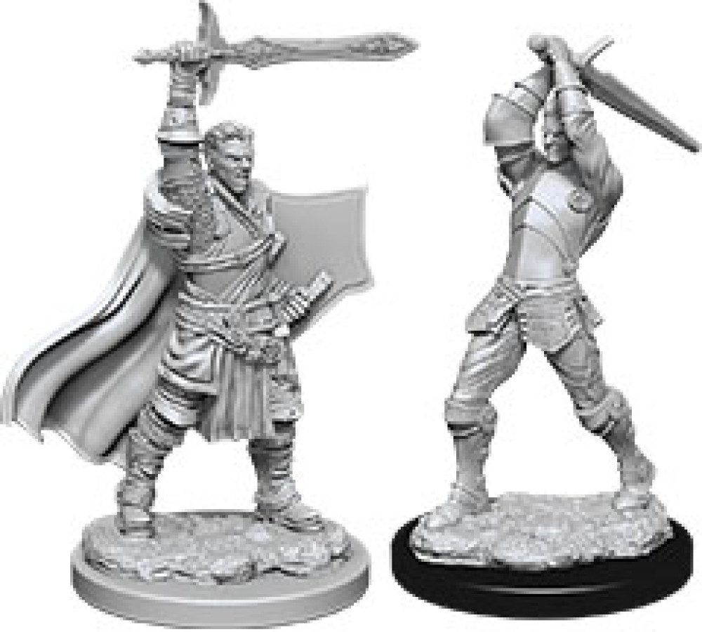 photo of Dungeons & Dragons: Nolzur's Marvelous Unpainted Miniatures - W12 Male Human Paladin