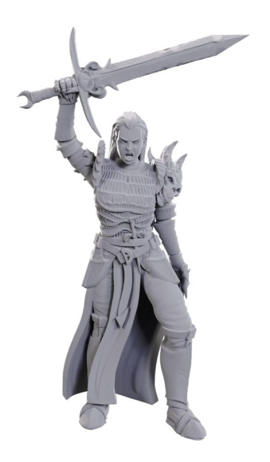 photo of Dungeons & Dragons: Nolzur's Marvelous Unpainted Miniatures - W25 Blackguard