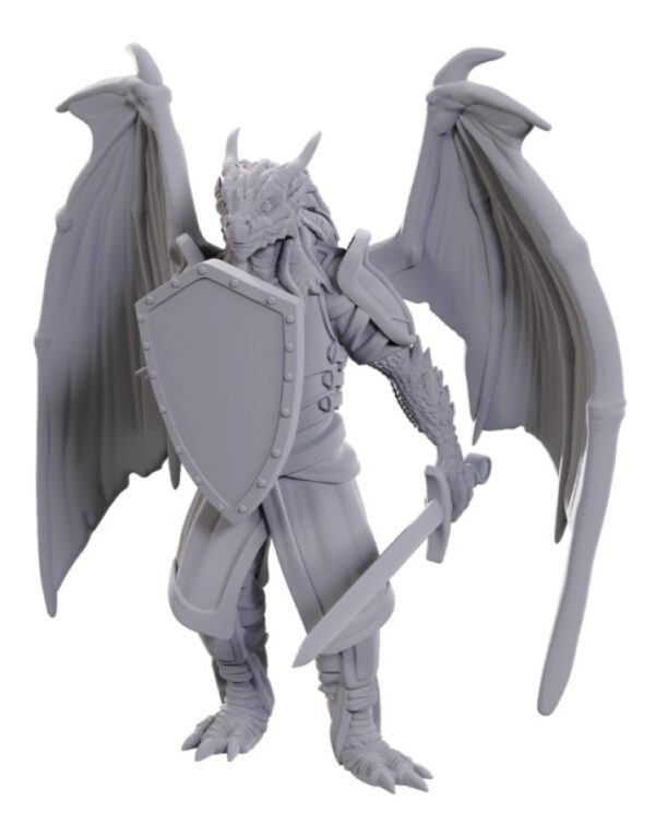 photo of W25 Dragonborn of Bahamut