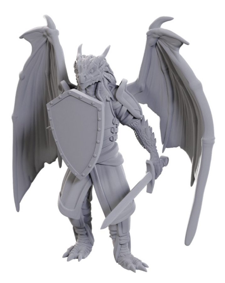 photo of W25 Dragonborn of Bahamut