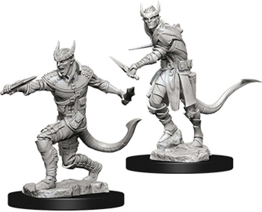 photo of W05 Tiefling Male Rogue