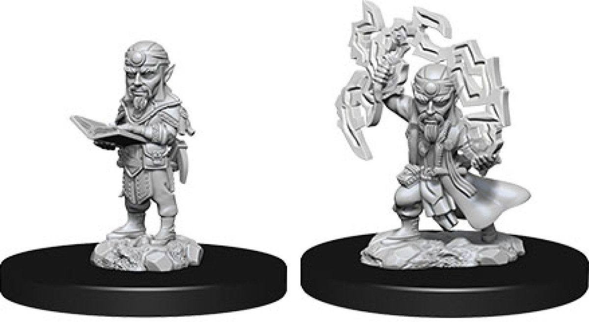 photo of W09 Male Gnome Sorcerer