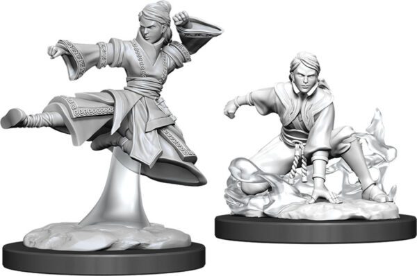 photo of W11 Female Human Monk