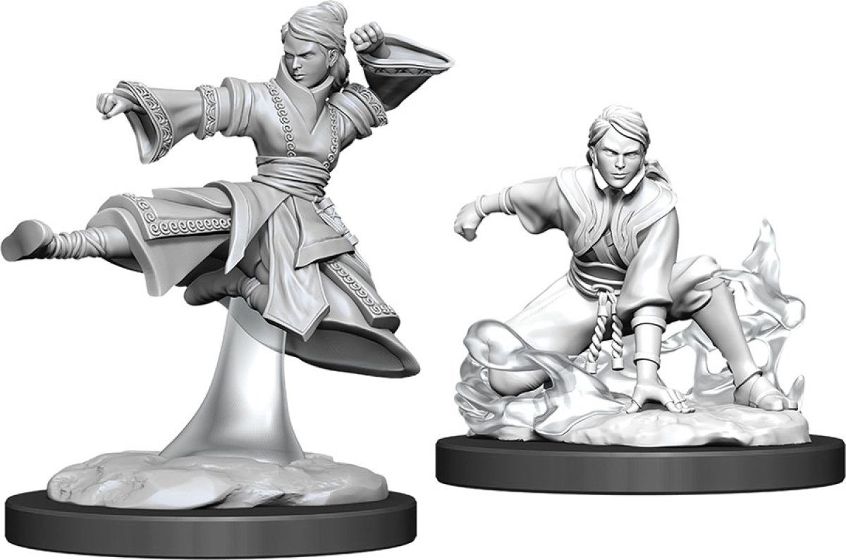 photo of W11 Female Human Monk