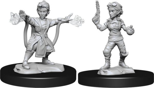 photo of W14 Gnome Artificer Female
