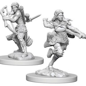 image of D&D Nolzur's Marvelous Unpainted Miniatures: W04 Air Genasi Female Rogue