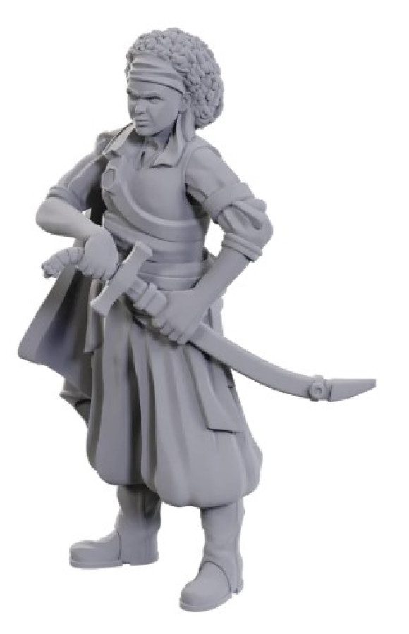 image of D&D Nolzur's Marvelous Unpainted Miniatures: W23 Ansalon Human Rogue