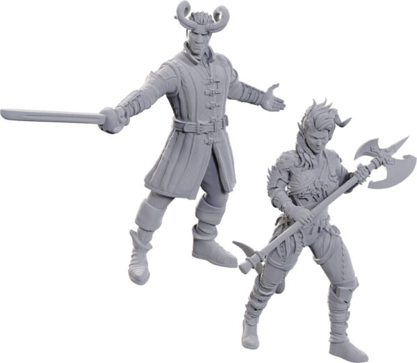 Dungeons & Dragons: Nolzur's Marvelous Unpainted Miniatures - Special Edition Baldur's Gate 3, Wyll & Karlach
