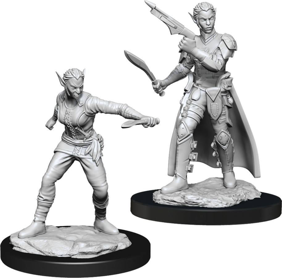 photo of Dungeons & Dragons: Nolzur's Marvelous Unpainted Miniatures - W13 Shifter Rogue Female
